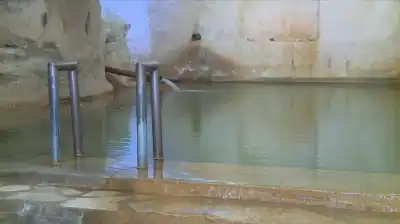 العمري: تقصير واضح في الرقابة على