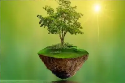 عمارة الأرض وتشجيرها.. واجب شرعي وضرورة