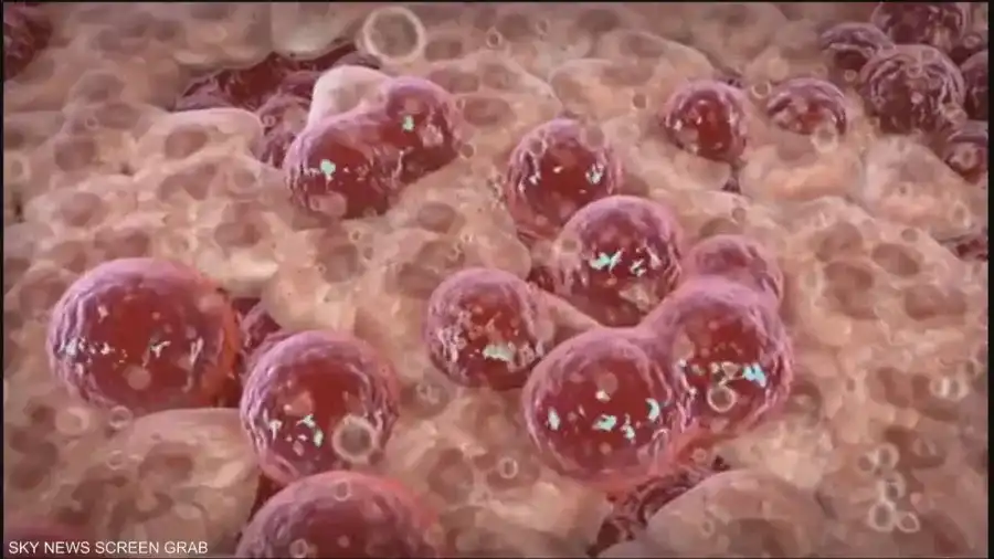 مدار الساعة,أخبار الصحة والأسرة