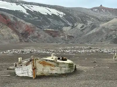 بين ثلوج أنتاركتيكا وأحشاء البركان.. حكاية