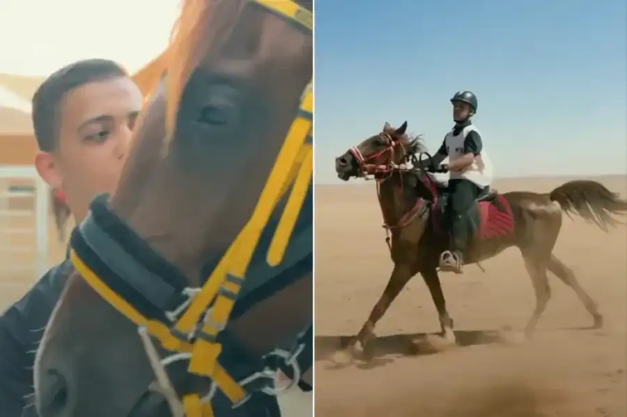 مدار الساعة,أخبار المجتمع الأردني,قطاع غزة
