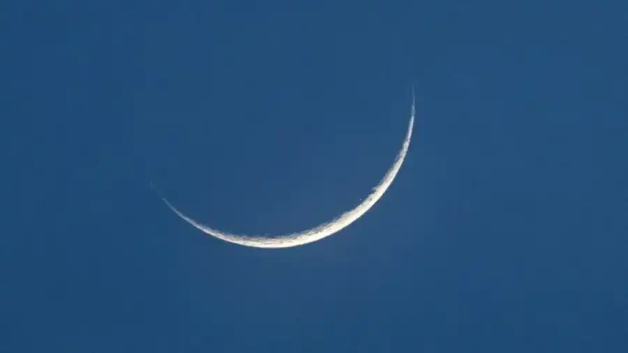 مدار الساعة,مناسبات أردنية,مفتي عام المملكة