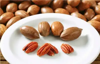 خبيرة تغذية تكشف عن 5 مكسرات