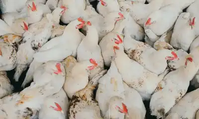 تجار أردنيون يتفاوضون في الصين على
