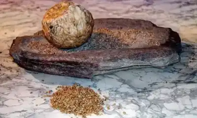 العالم يحتفي برغيف الخبز.. تعرف على