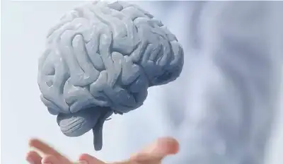 هل تبدأ شيخوخة الدماغ في رحم