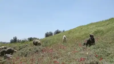 الفيلم الأردني أرض الخرسانة يفوز بجائزة