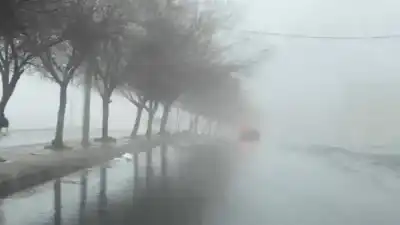 إلى المزارعين الأردنيين المتضررين.. راجعوا