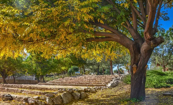 مدار الساعة,أخبار الأردن,اخبار الاردن,درجات الحرارة,الأرصاد الجوية