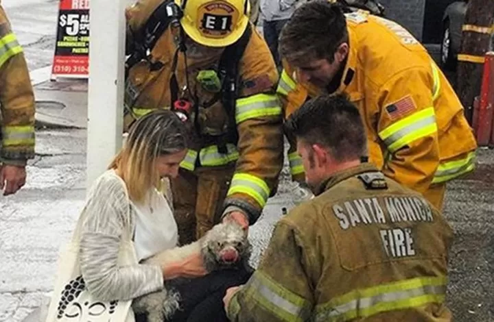 مدار الساعة,أخبار خفيفة ومنوعة