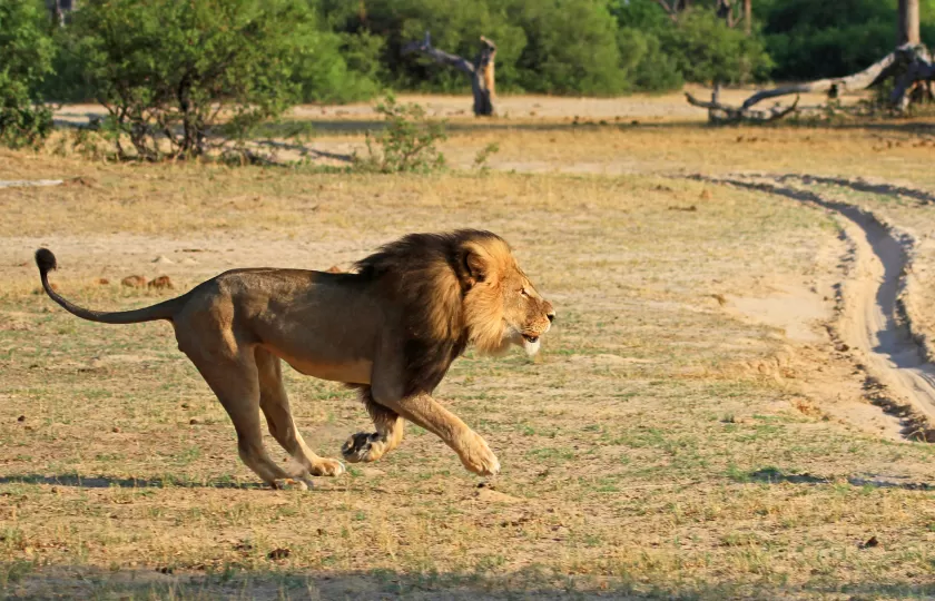 مدار الساعة,أخبار خفيفة ومنوعة