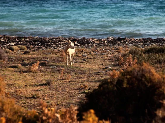 مدار الساعة,أخبار خفيفة ومنوعة
