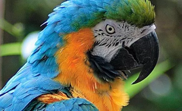 مدار الساعة,أخبار خفيفة ومنوعة,البحوث الزراعية