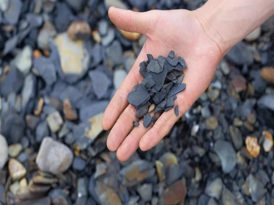 مدار الساعة,أخبار اقتصادية