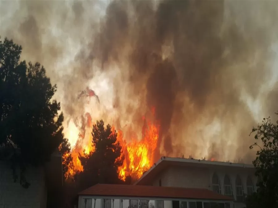 مدار الساعة,أخبار عربية ودولية,المملكة الأردنية الهاشمية,وزارة الداخلية