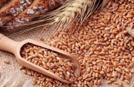 مدار الساعة,أخبار اقتصادية,وزير الزراعة,وزير البيئة,المؤسسة التعاونية الأردنية,وزارة الزراعة,المركز الوطني للبحوث الزراعية