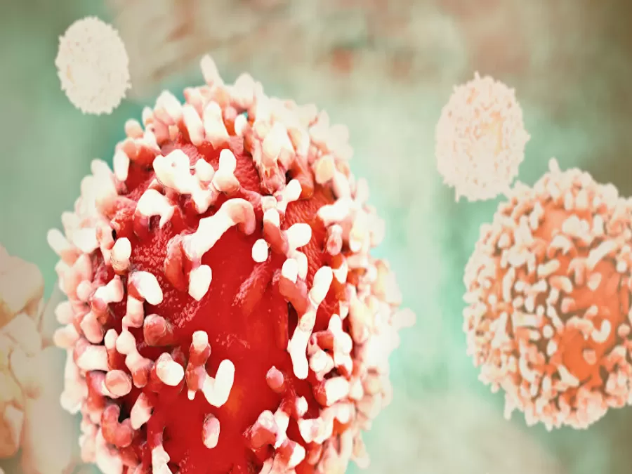 مدار الساعة,أخبار خفيفة ومنوعة