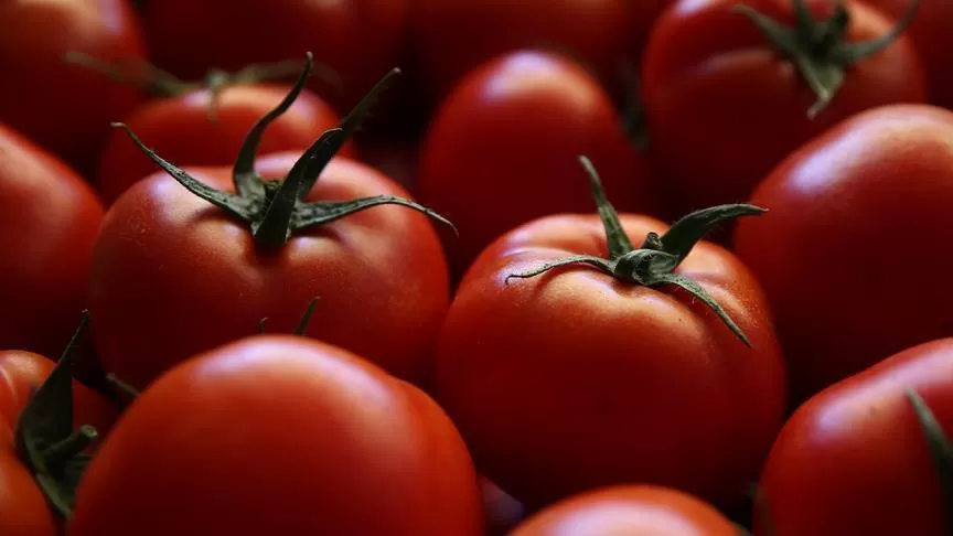 مدار الساعة,أخبار عربية ودولية