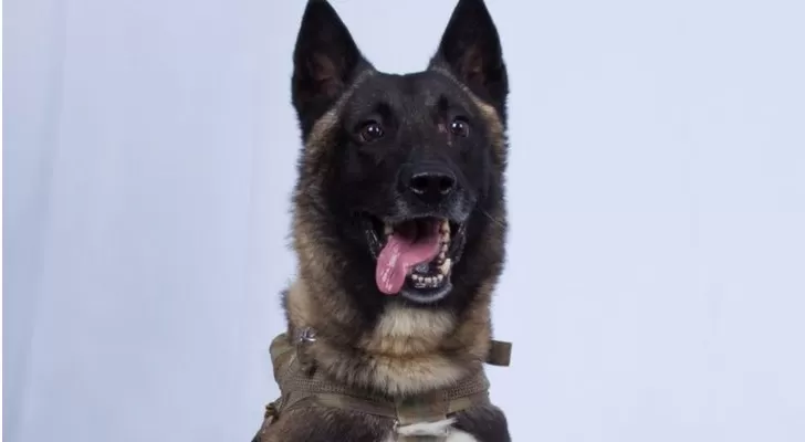 مدار الساعة,أخبار عربية ودولية