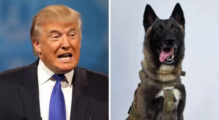 مدار الساعة,أخبار عربية ودولية