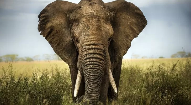 مدار الساعة,Video,فيديو,أخبار خفيفة ومنوعة