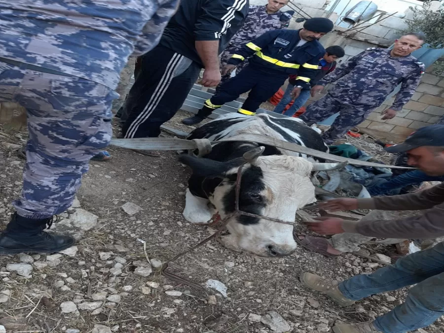 مدار الساعة,أخبار الأردن,اخبار الاردن