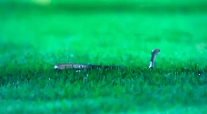 مدار الساعة,Video,فيديو,أخبار رياضية