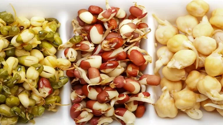 مدار الساعة,أخبار خفيفة ومنوعة