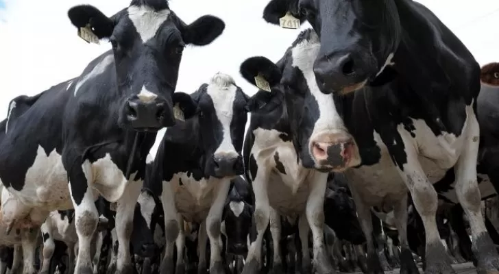 مدار الساعة,أخبار خفيفة ومنوعة,وزارة الصناعة