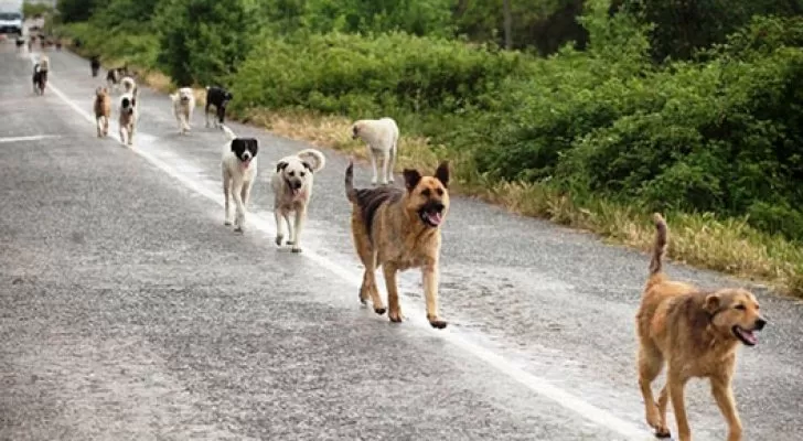 مدار الساعة,أخبار خفيفة ومنوعة