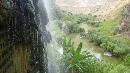 مدار الساعة,أخبار اقتصادية,الملك عبد الله الثاني,رئيس الوزراء,مجلس الأمة,مجلس النواب الأردني,القوات المسلحة