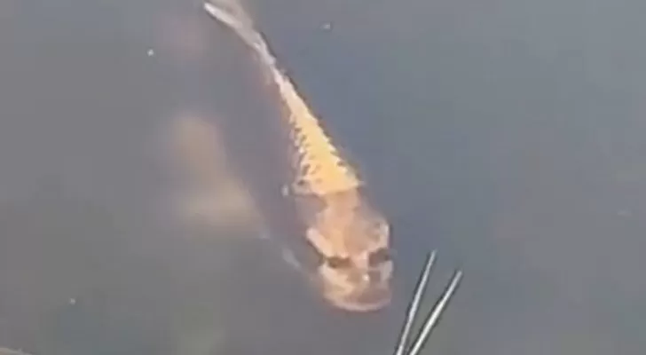 مدار الساعة,Video,فيديو,أخبار خفيفة ومنوعة