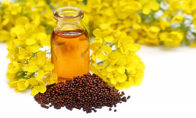 مدار الساعة,أخبار الأسرة