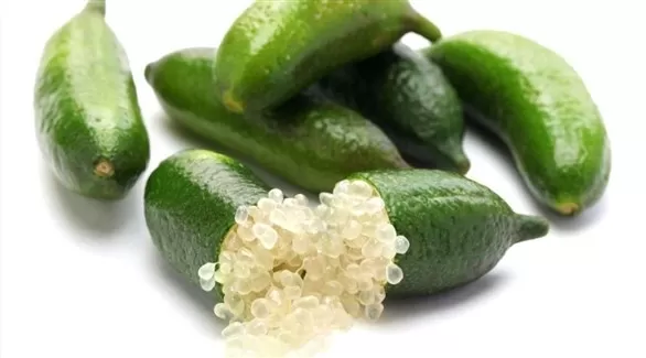 مدار الساعة,أخبار الأسرة