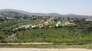 مدار الساعة,أخبار عربية ودولية,الأمم المتحدة