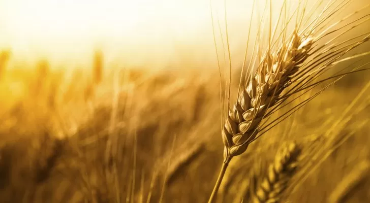 مدار الساعة,أخبار مجلس النواب الأردني