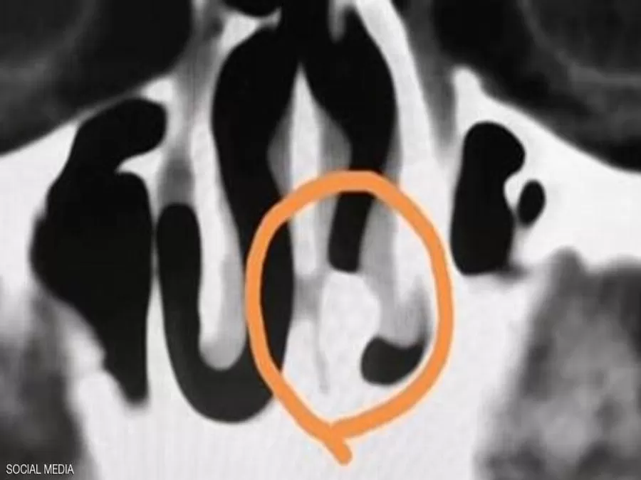 مدار الساعة,أخبار خفيفة ومنوعة