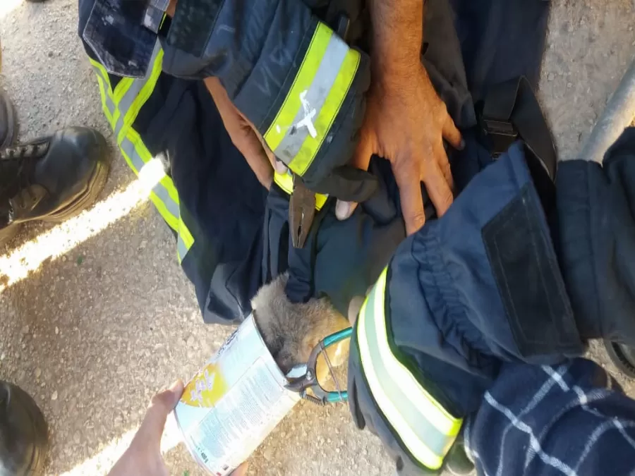 مدار الساعة,أخبار الأردن,اخبار الاردن,الدفاع المدني