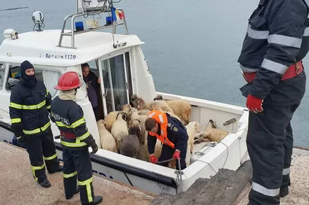 مدار الساعة,Video,فيديو,أخبار خفيفة ومنوعة,الاتحاد الأوروبي