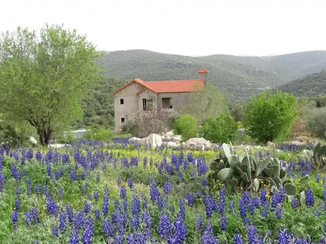 مدار الساعة,الطقس في الأردن اليوم,طقس الأردن,طقس العرب,طقس العرب الاردن,درجات الحرارة,البحر الميت