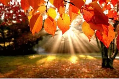 مدار الساعة,الطقس في الأردن اليوم,طقس الأردن,طقس العرب,طقس العرب الاردن,درجات الحرارة,البحر الميت