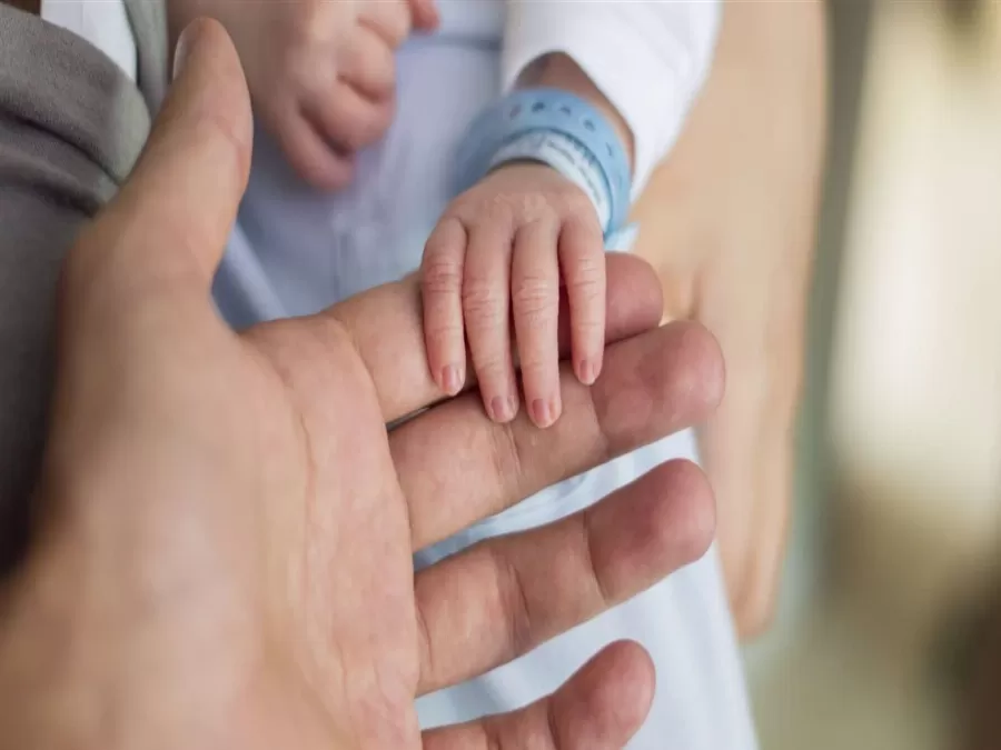 مدار الساعة,أخبار الأسرة