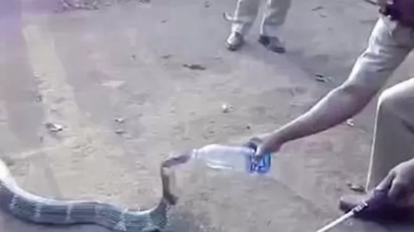 مدار الساعة,أخبار خفيفة ومنوعة