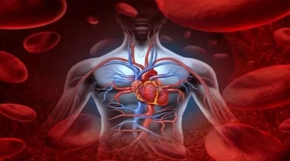 مدار الساعة,أخبار خفيفة ومنوعة