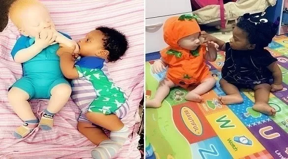 مدار الساعة,أخبار الأسرة