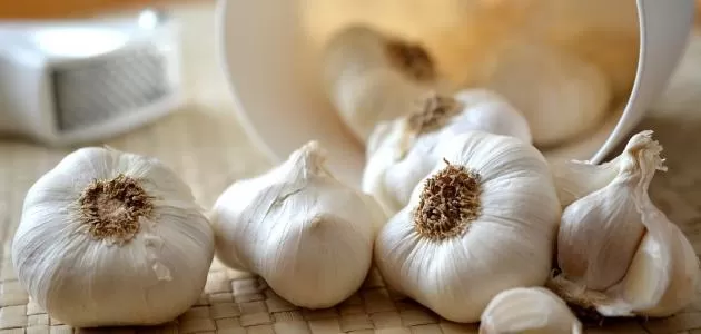 مدار الساعة,أخبار الأسرة