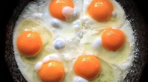 مدار الساعة,أخبار الأسرة