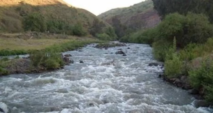 مدار الساعة,أخبار الأردن,اخبار الاردن
