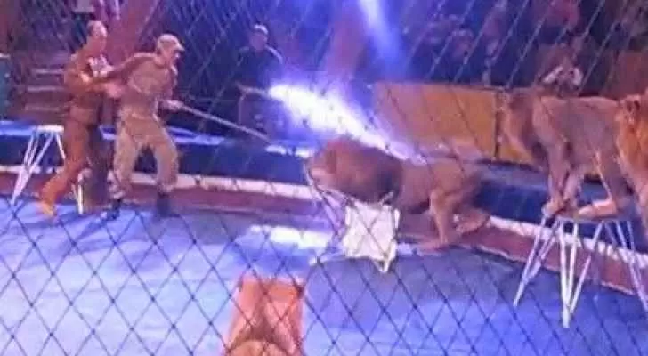 مدار الساعة,Video,فيديو,أخبار خفيفة ومنوعة