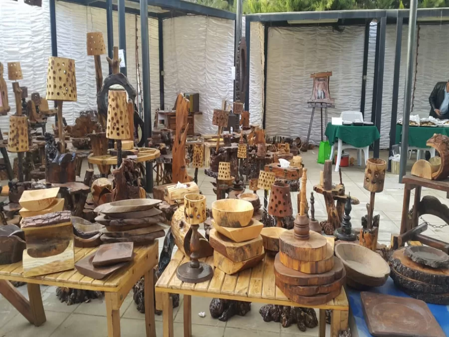 مدار الساعة,مناسبات أردنية,وزير التنمية الاجتماعية,التنمية الاجتماعية